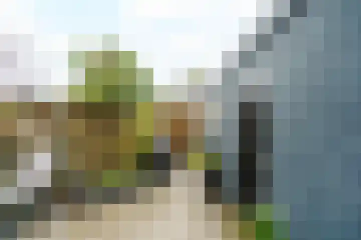 Meidoornlaan 63 Nootdorp thumbnail 44