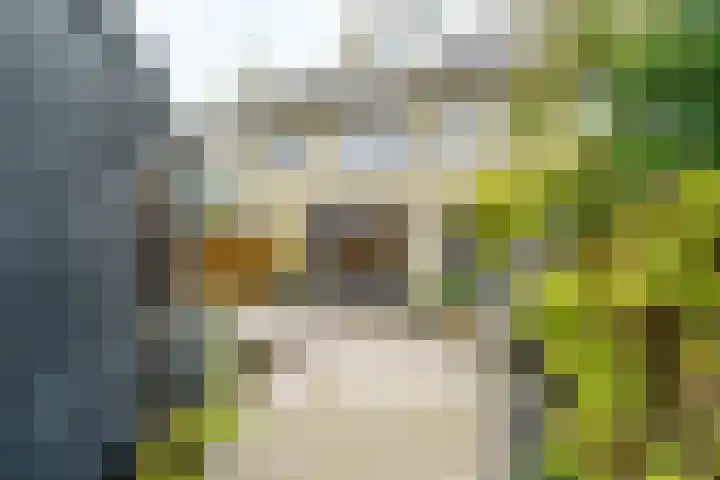 Meidoornlaan 63 Nootdorp thumbnail 45
