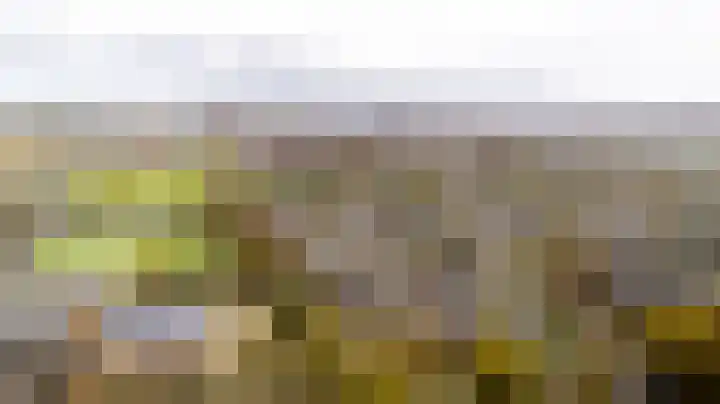 Meidoornlaan 63 Nootdorp thumbnail 51