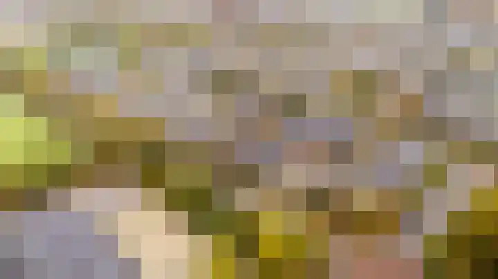 Meidoornlaan 63 Nootdorp thumbnail 52