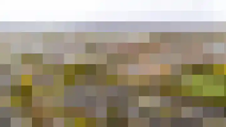 Meidoornlaan 63 Nootdorp thumbnail 53