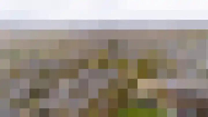 Meidoornlaan 63 Nootdorp thumbnail 54