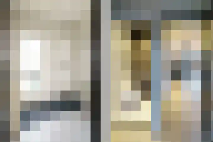Meidoornlaan 63 Nootdorp thumbnail 6