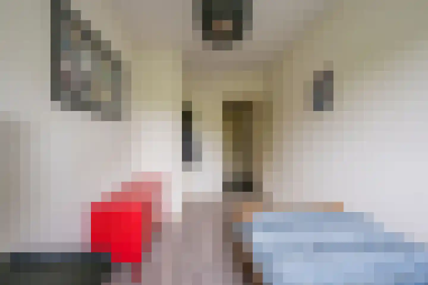 Meidoornlaan 7 02 Nijkerk thumbnail 22