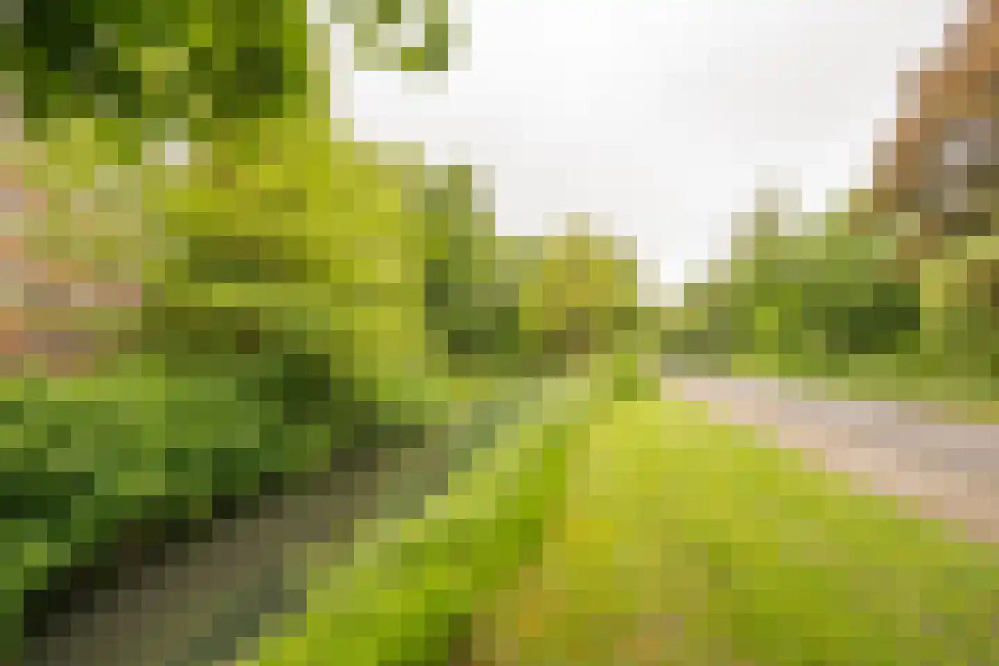 Meidoornlaan 7 02 Nijkerk thumbnail 32