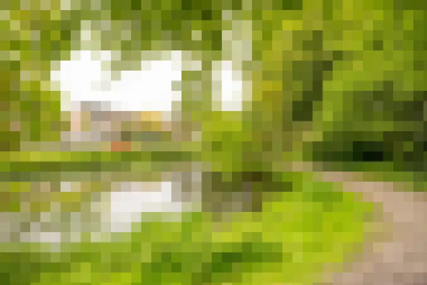 Meidoornlaan 7 02 Nijkerk thumbnail 33