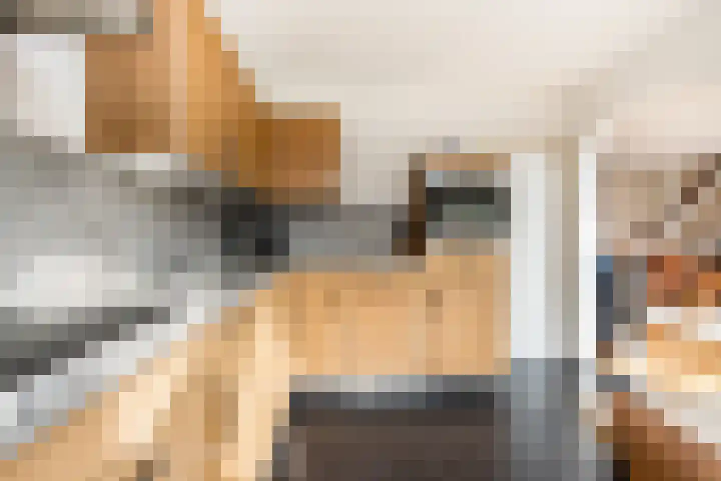 Meidoornlaan 7 Almkerk thumbnail 18