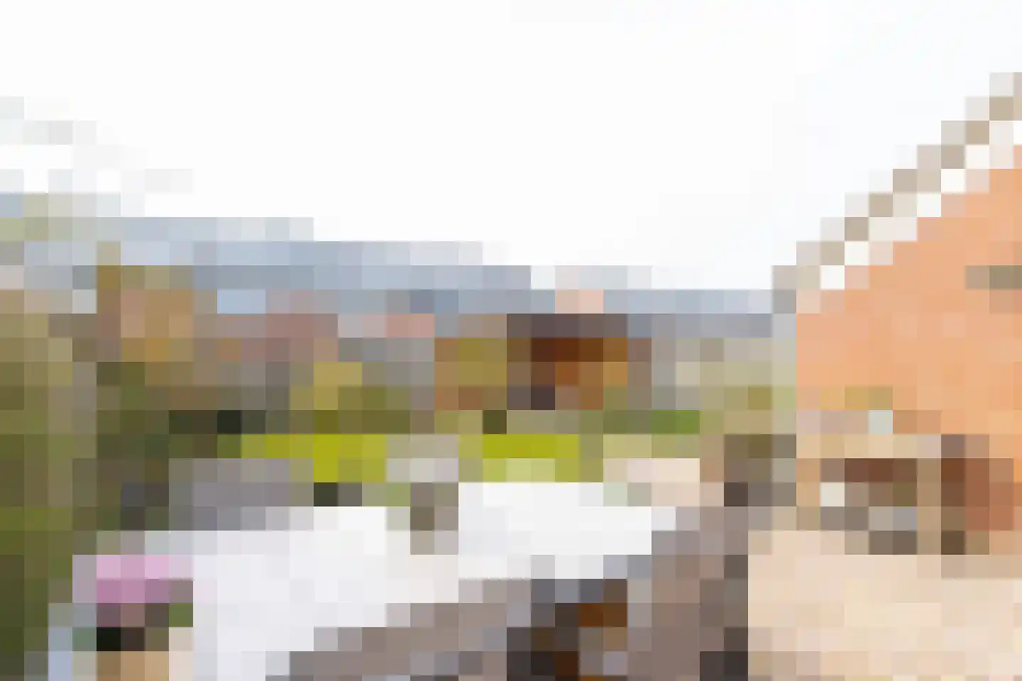 Meidoornlaan 7 Almkerk thumbnail 4
