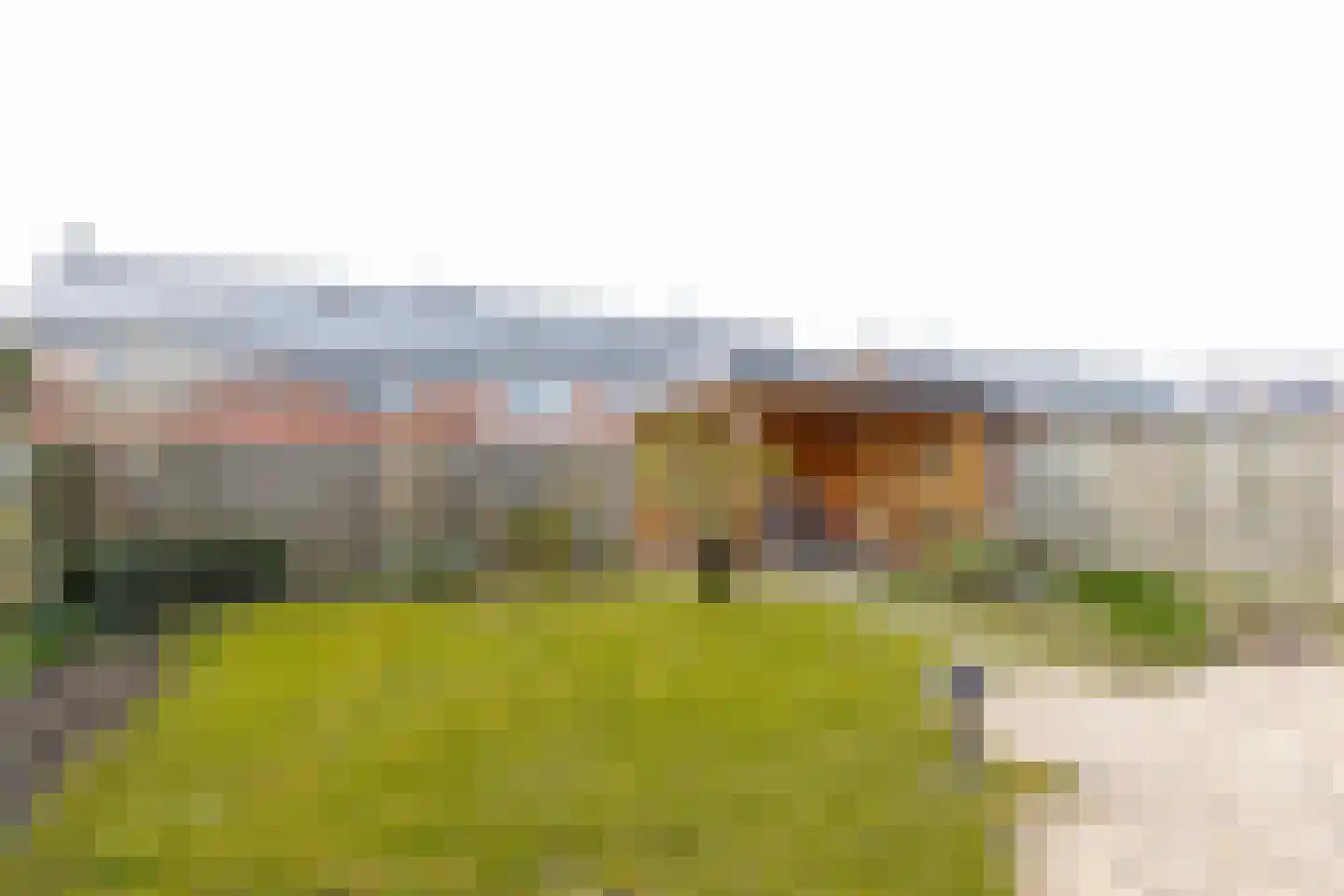 Meidoornlaan 7 Almkerk thumbnail 49