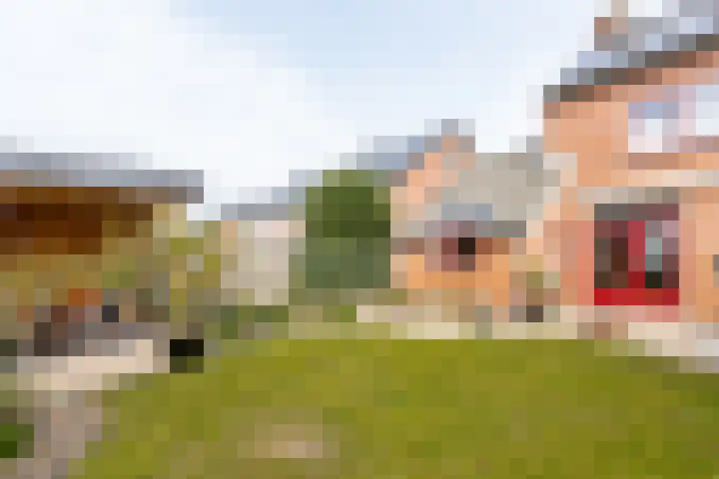 Meidoornlaan 7 Almkerk thumbnail 51