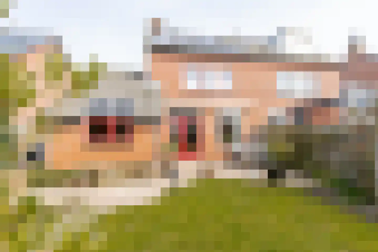 Meidoornlaan 7 Almkerk thumbnail 52