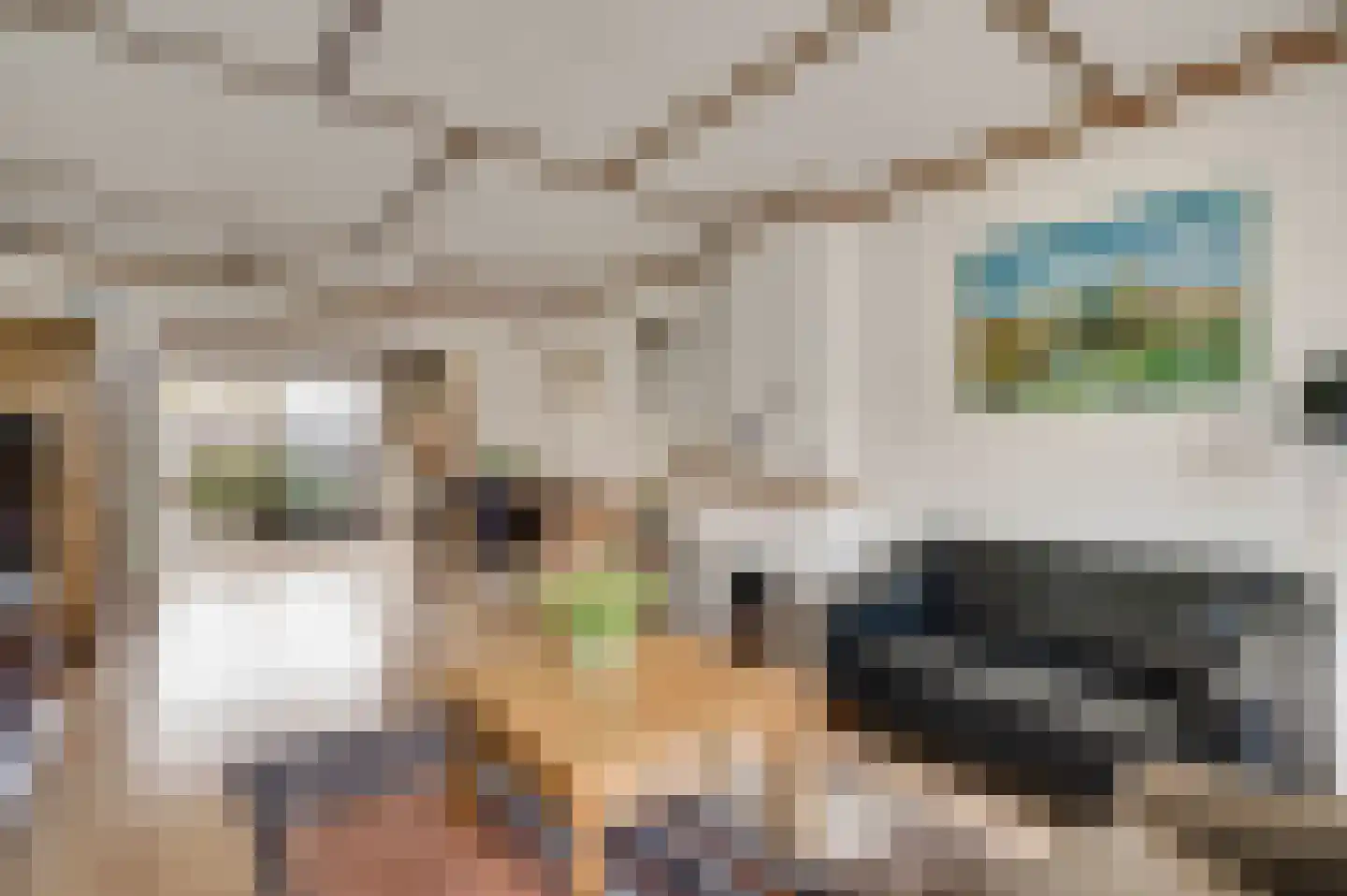 Meidoornlaan 7 Bunde foto 2