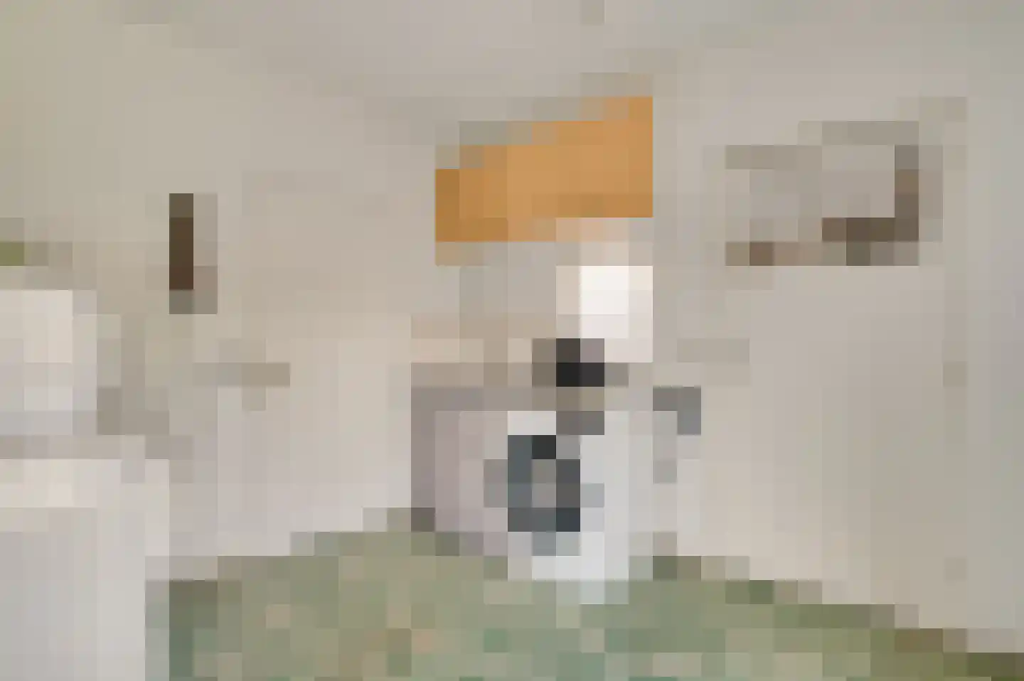 Meidoornlaan 7 Bunde thumbnail 7