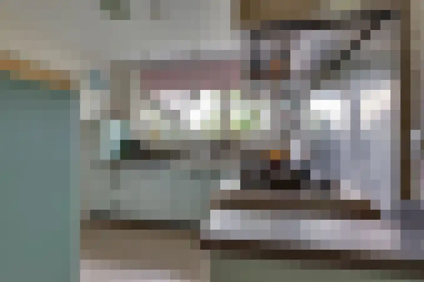 Meidoornlaan 7 Dalfsen thumbnail 15