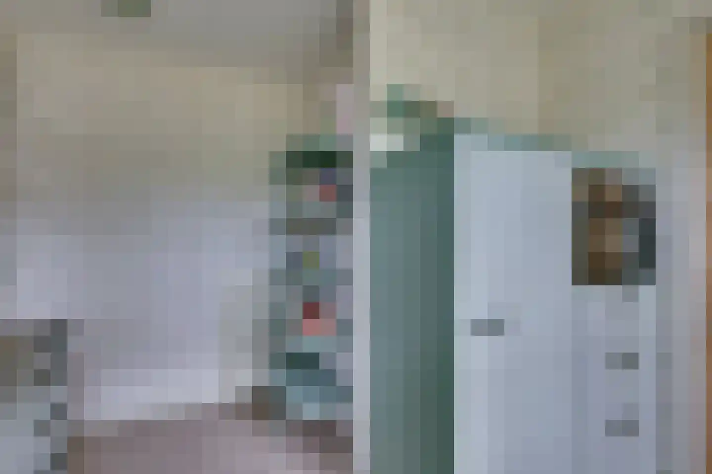 Meidoornlaan 7 Dalfsen thumbnail 17