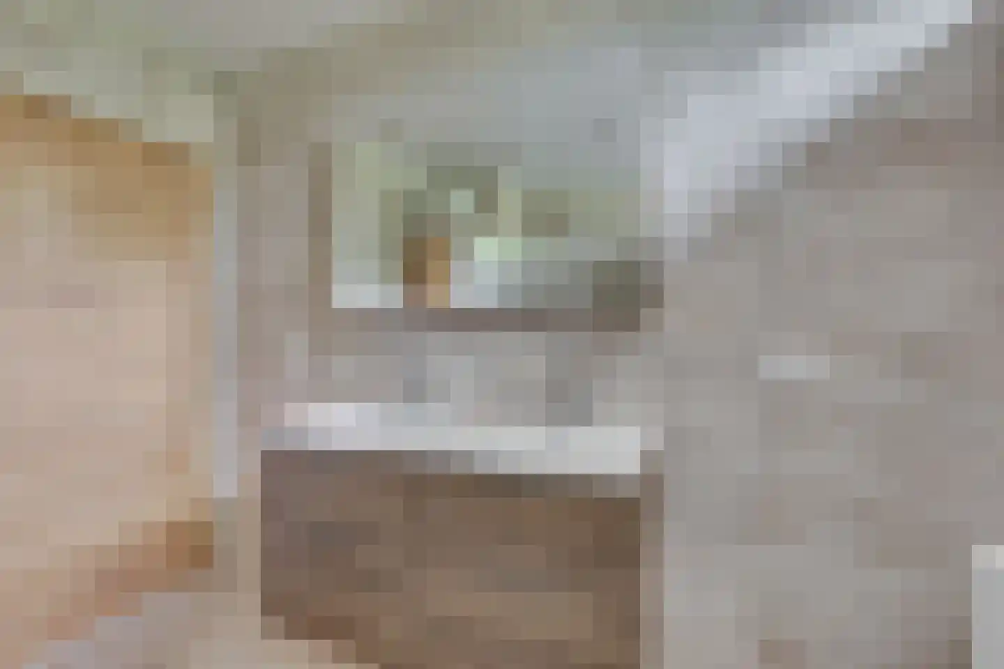 Meidoornlaan 7 Dalfsen thumbnail 24
