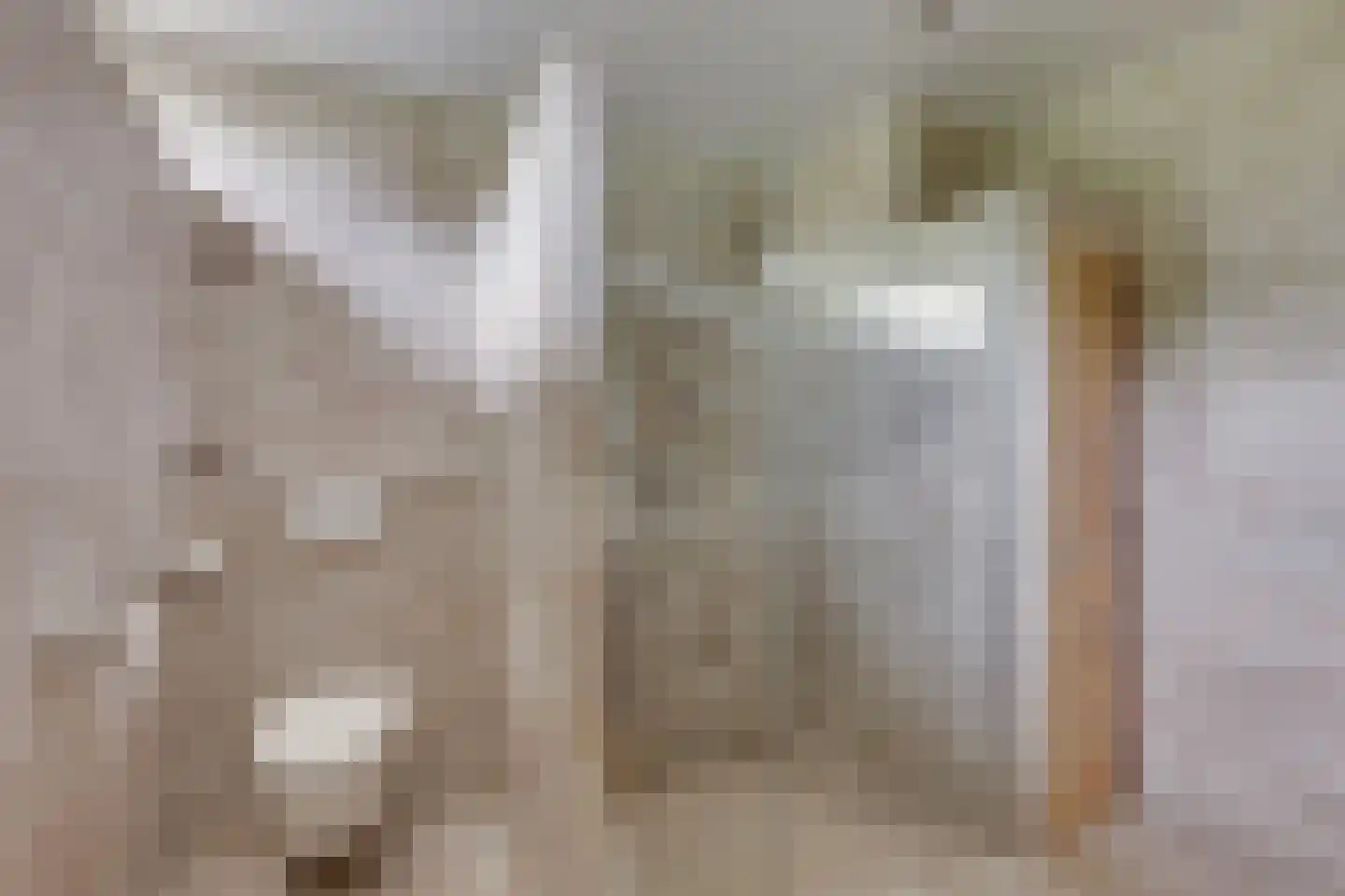 Meidoornlaan 7 Dalfsen thumbnail 25