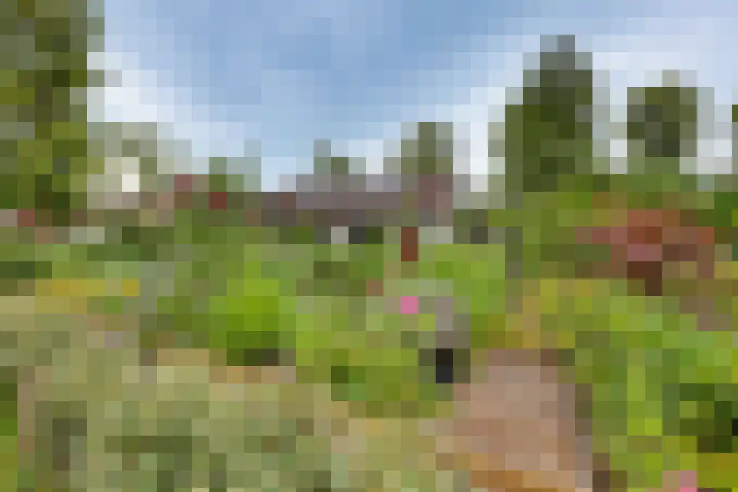Meidoornlaan 7 Dalfsen foto 3