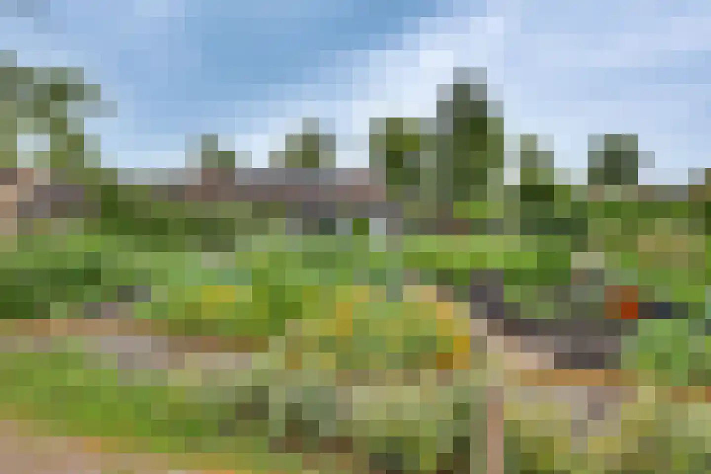 Meidoornlaan 7 Dalfsen thumbnail 33