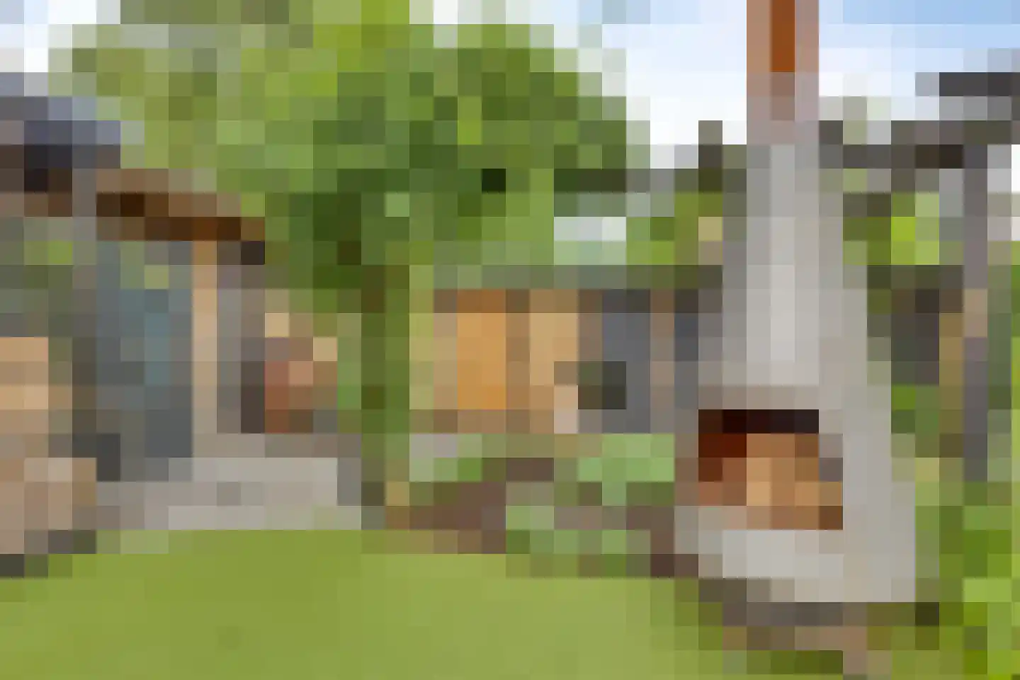 Meidoornlaan 7 Dalfsen thumbnail 35