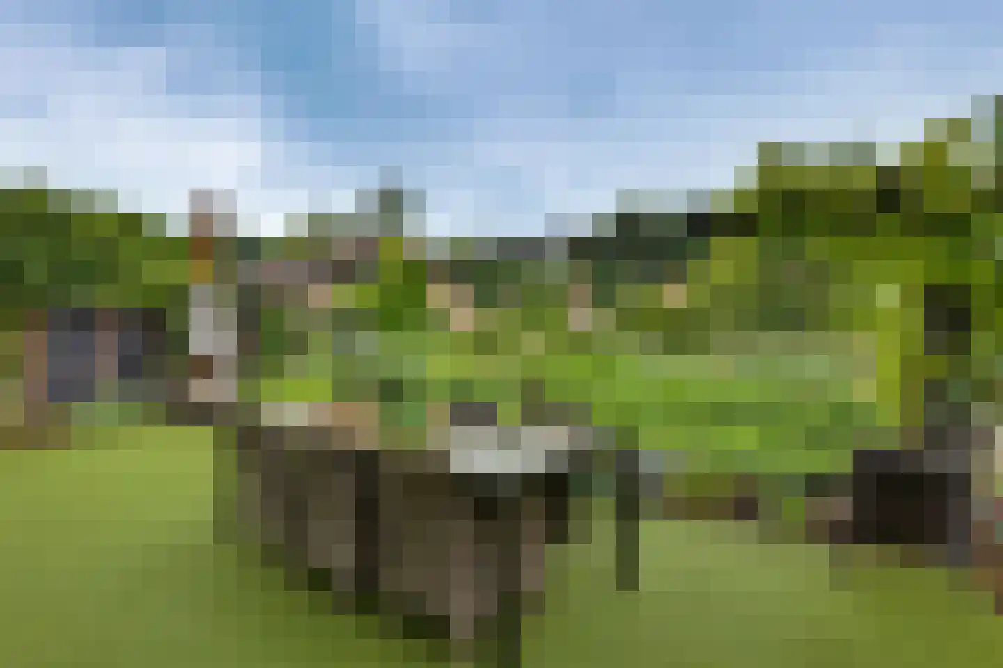 Meidoornlaan 7 Dalfsen thumbnail 36