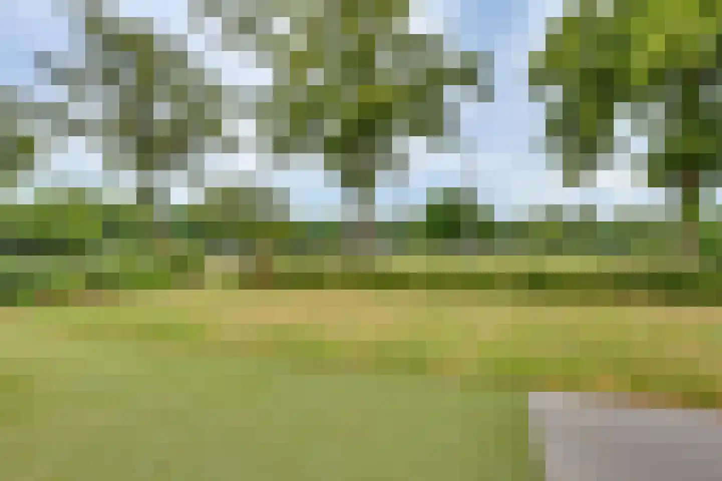 Meidoornlaan 7 Dalfsen thumbnail 38