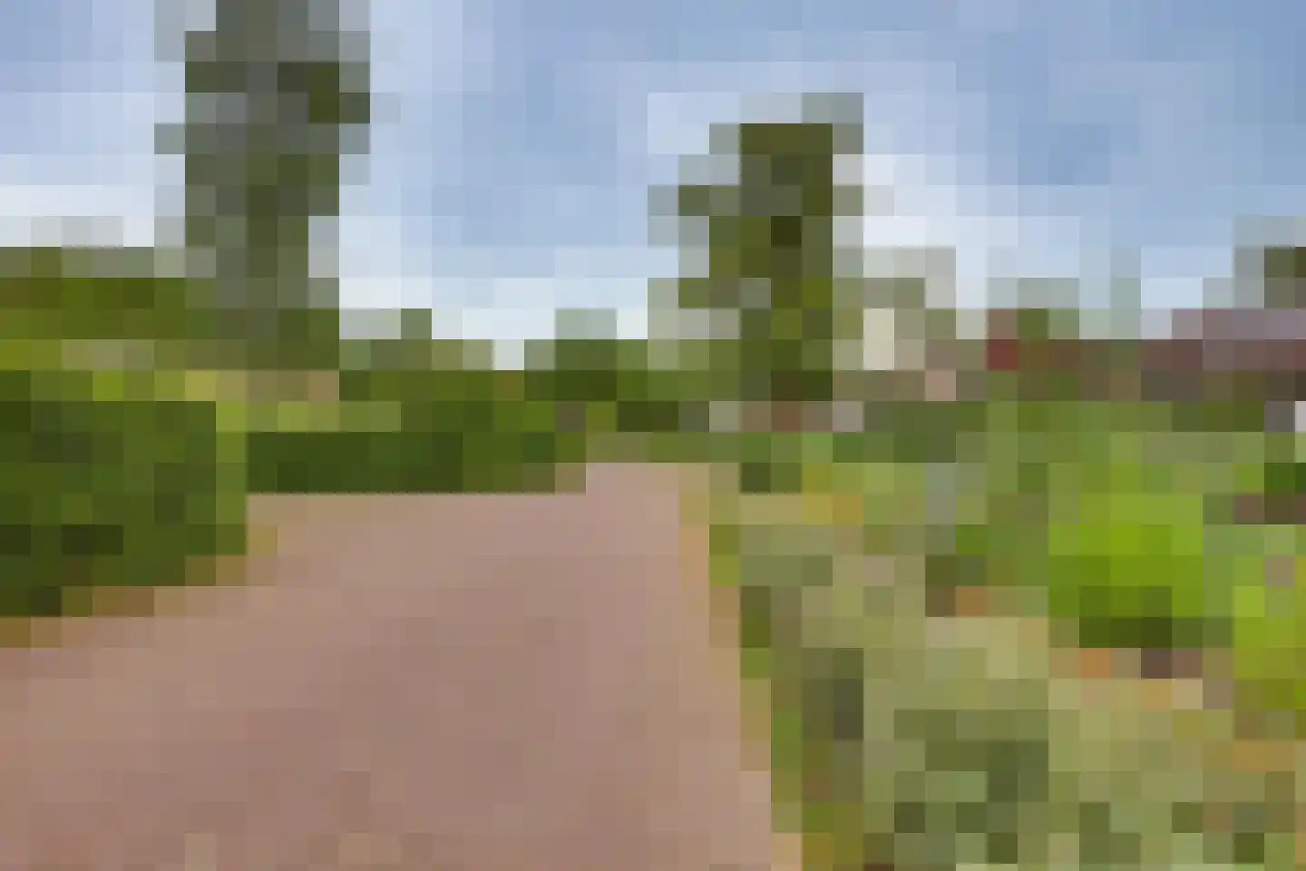 Meidoornlaan 7 Dalfsen thumbnail 45