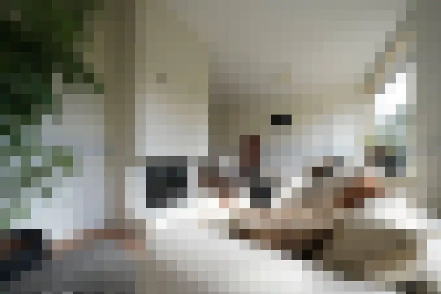 Meidoornlaan 7 Ermelo thumbnail 13