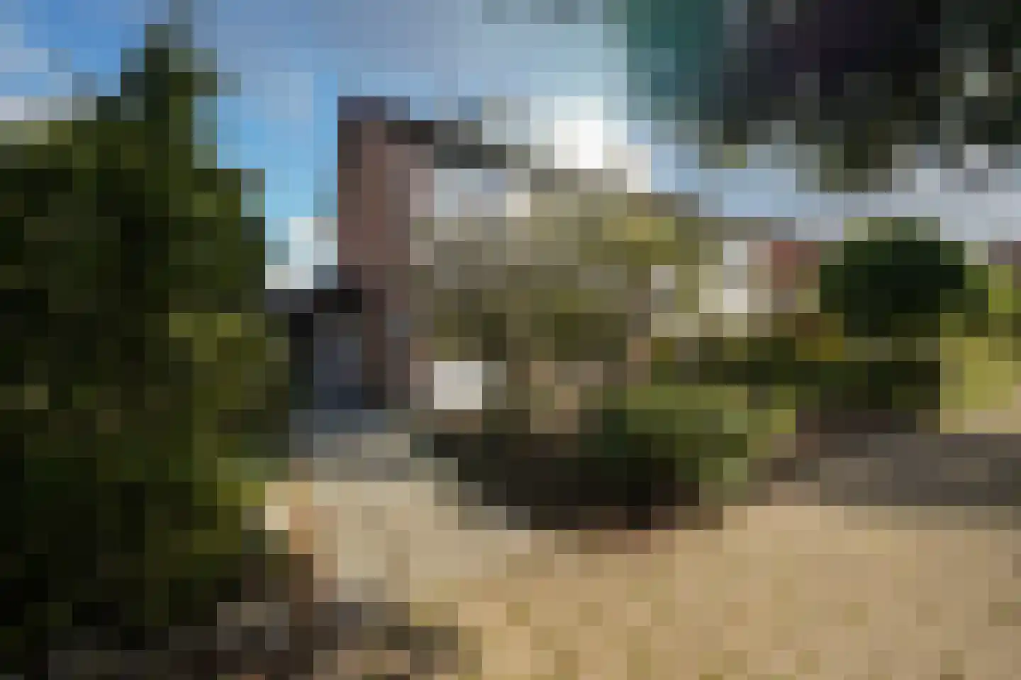 Meidoornlaan 7 Ermelo foto 2