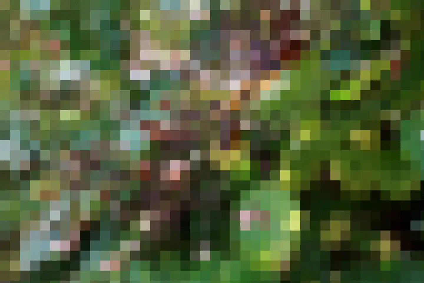 Meidoornlaan 7 Ermelo thumbnail 28