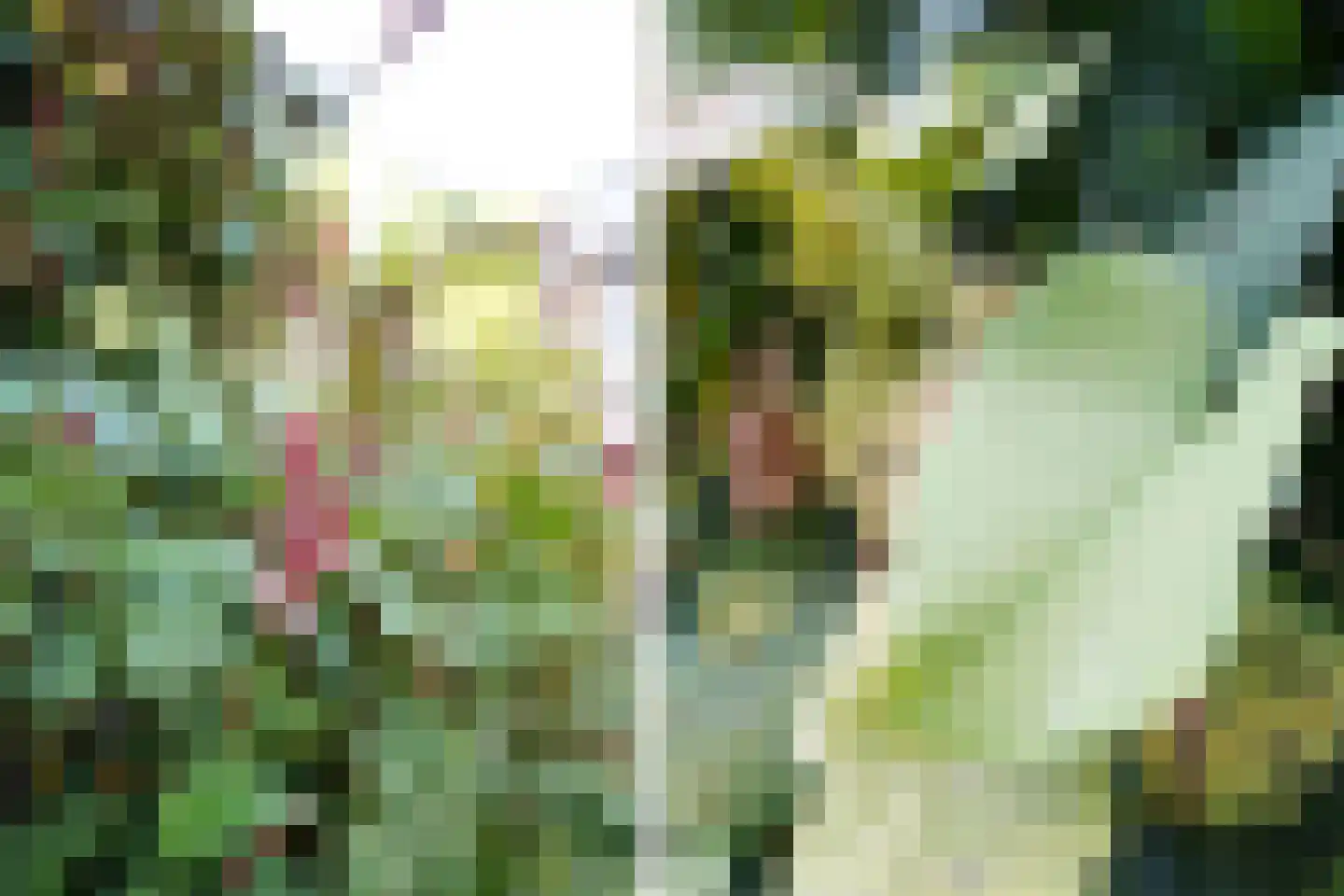 Meidoornlaan 7 Ermelo thumbnail 30