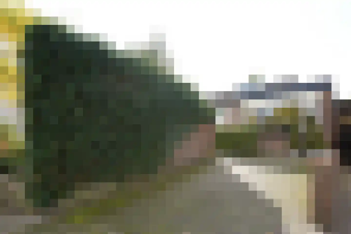 Meidoornlaan 7 Ermelo thumbnail 46