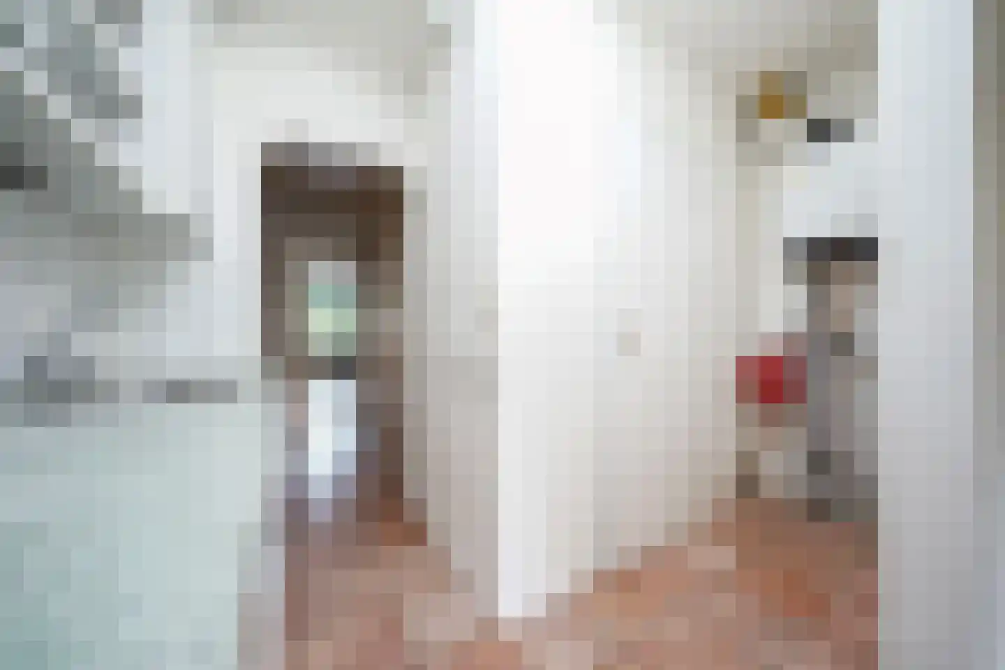 Meidoornlaan 7 Ermelo thumbnail 53