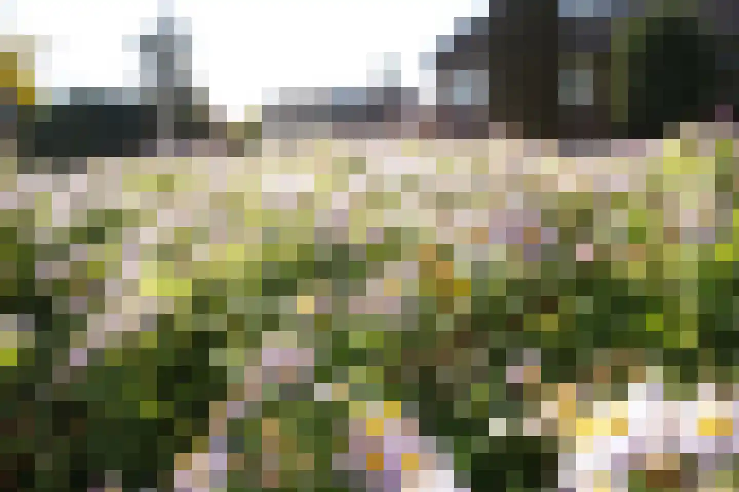 Meidoornlaan 7 Ermelo thumbnail 57