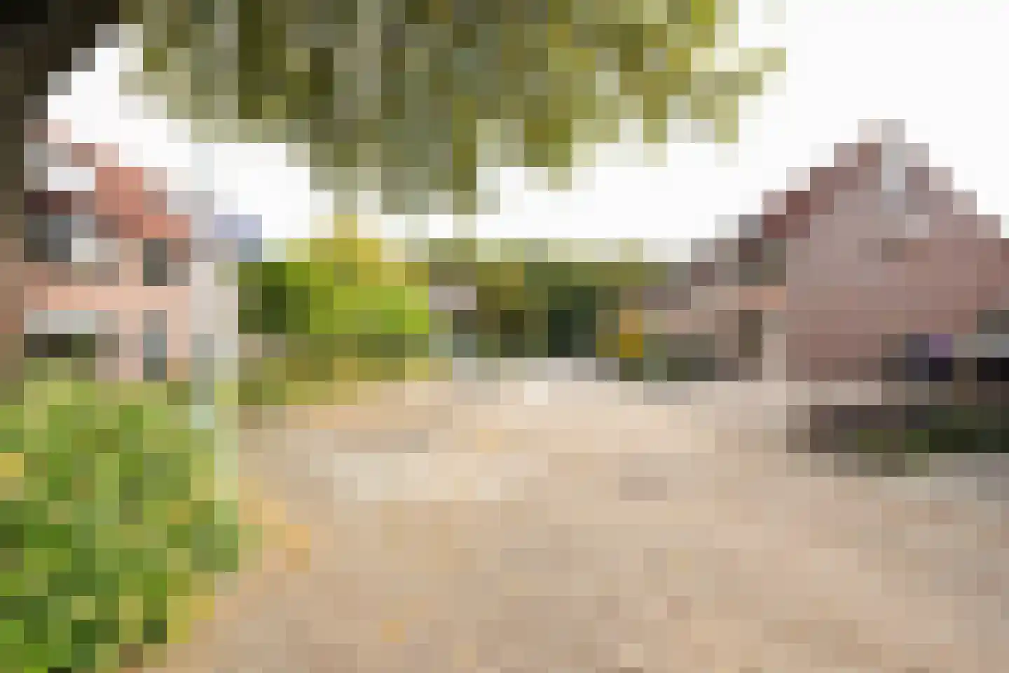 Meidoornlaan 7 Ermelo thumbnail 60