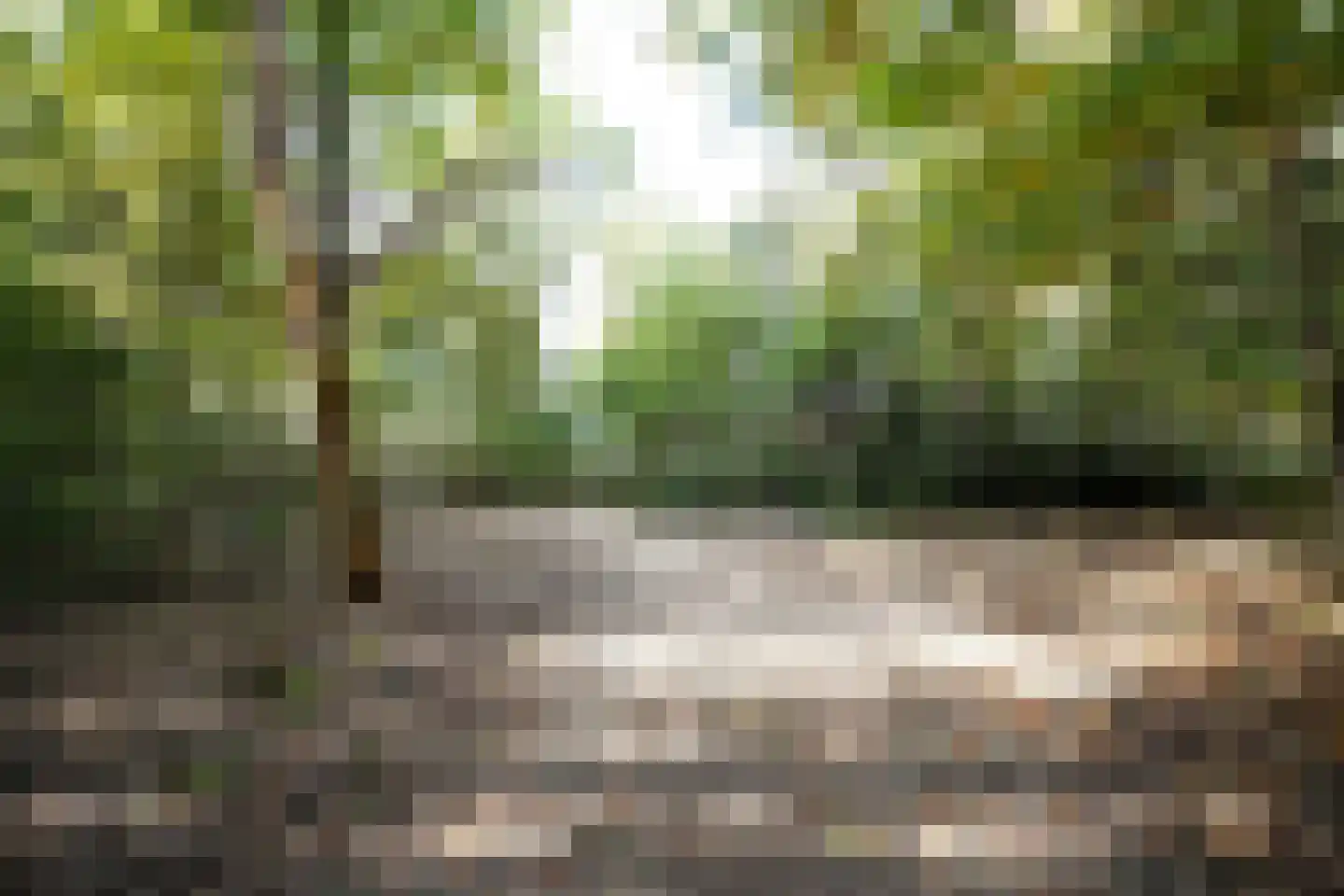 Meidoornlaan 7 Ermelo thumbnail 61