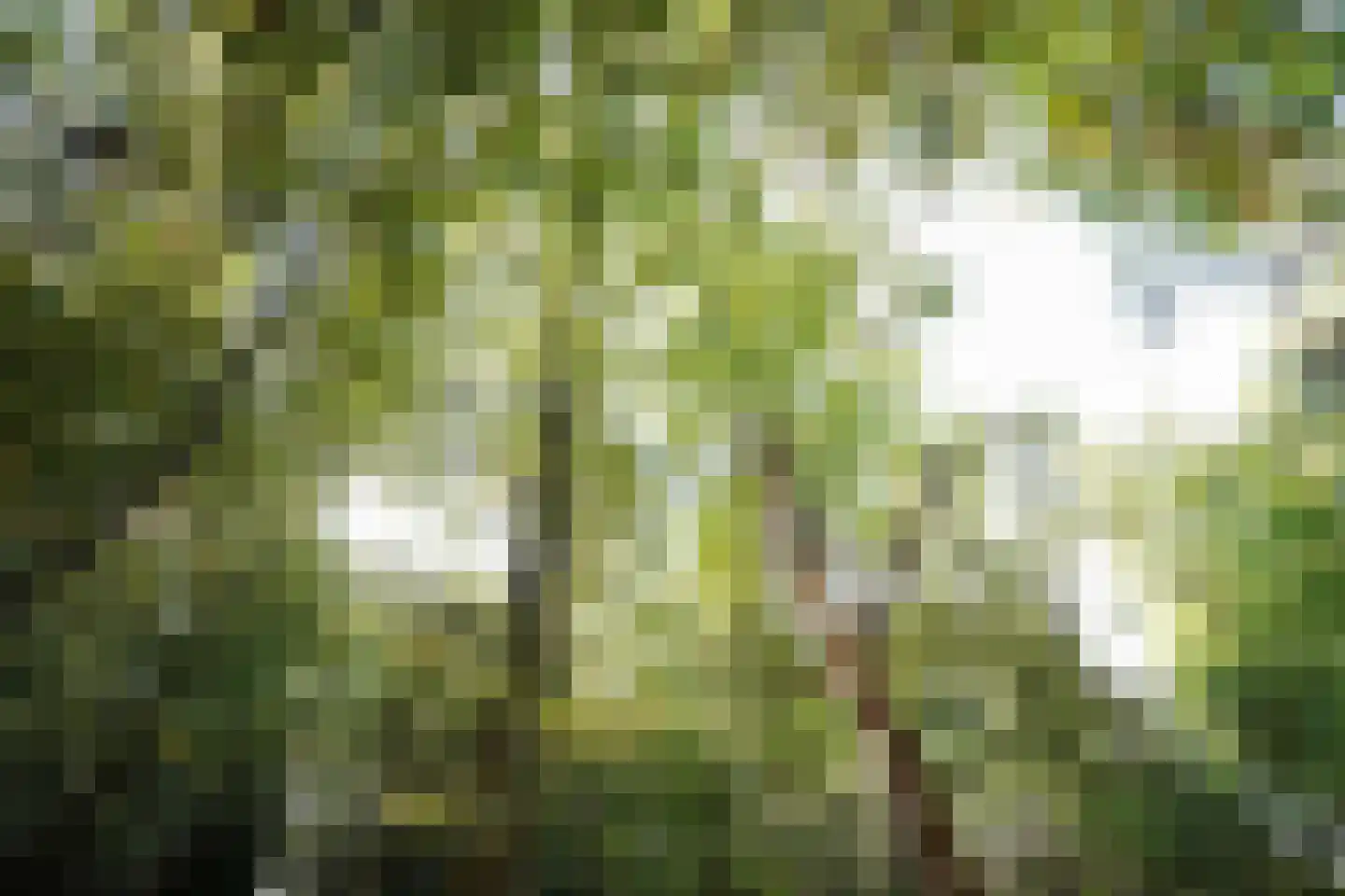 Meidoornlaan 7 Ermelo thumbnail 63