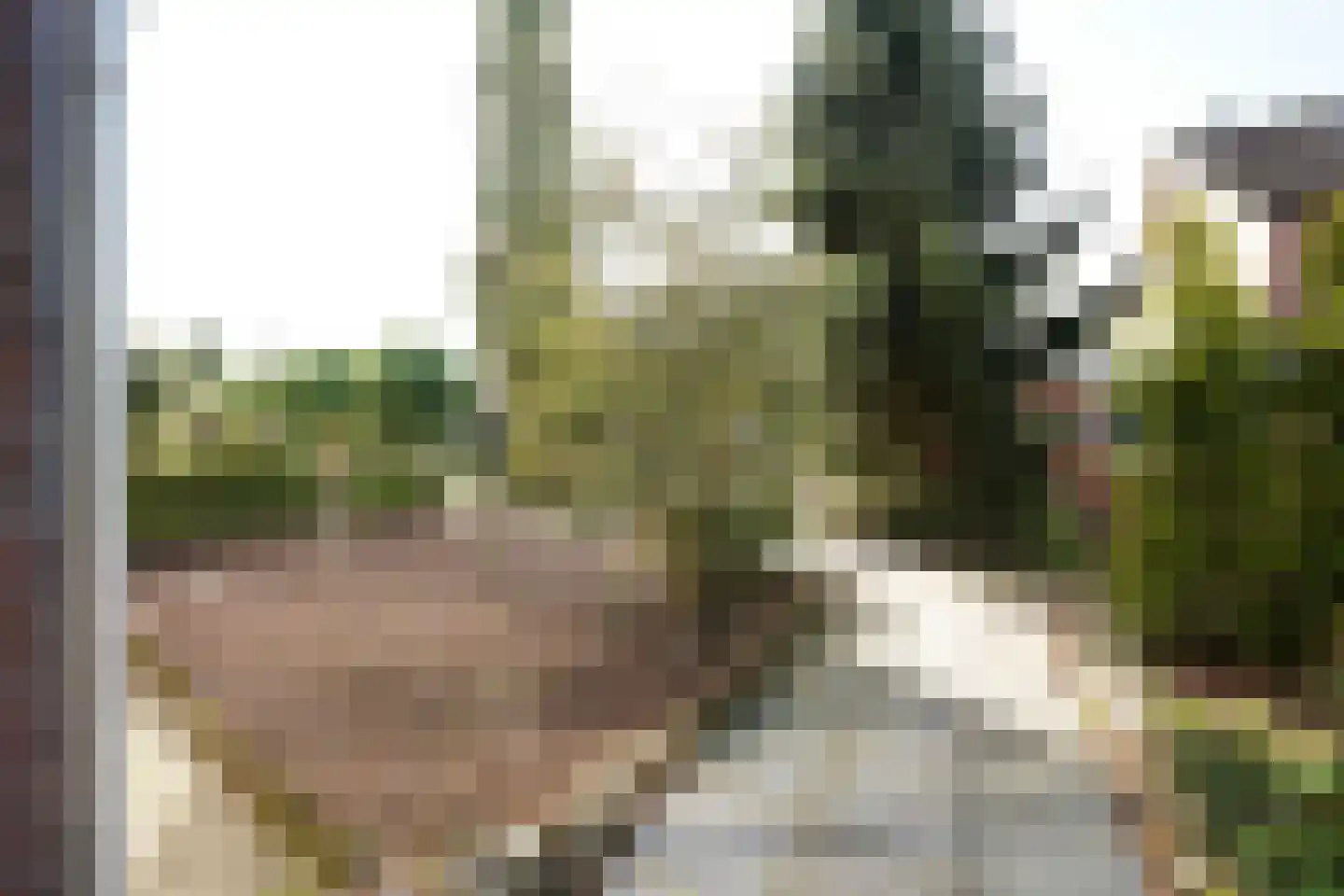 Meidoornlaan 7 Ermelo thumbnail 8