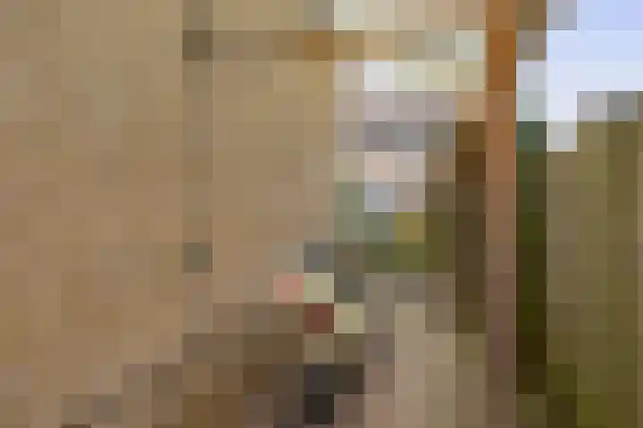Meidoornlaan 7 Tegelen thumbnail 18