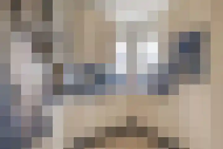 Meidoornlaan 7 Tegelen thumbnail 7