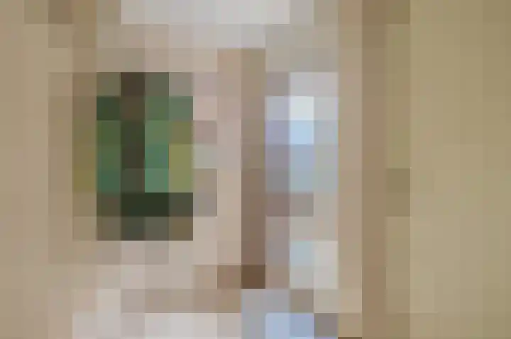 Meidoornlaan 7 Tegelen thumbnail 8