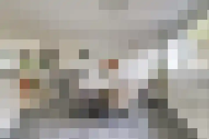 Meidoornlaan 71 Vianen thumbnail 16
