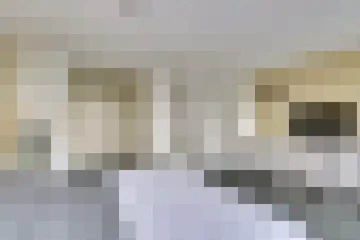 Meidoornlaan 71 Vianen thumbnail 24