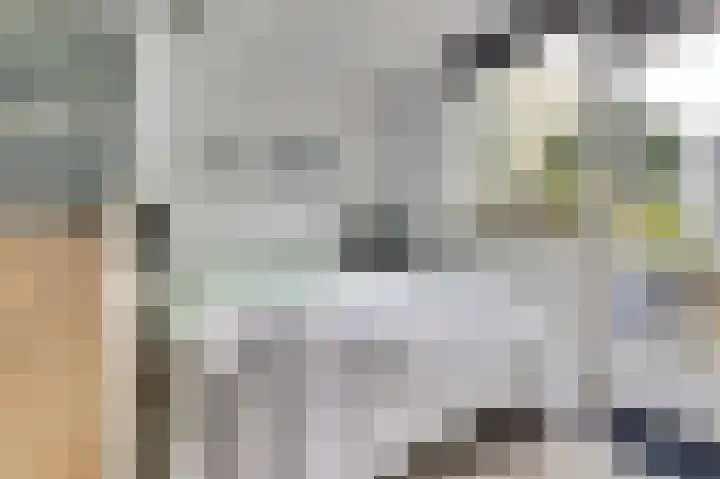 Meidoornlaan 71 Vianen thumbnail 41