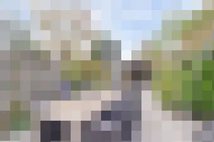 Meidoornlaan 71 Vianen thumbnail 45