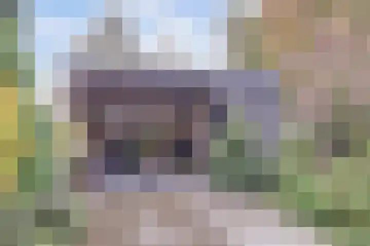 Meidoornlaan 71 Vianen thumbnail 47