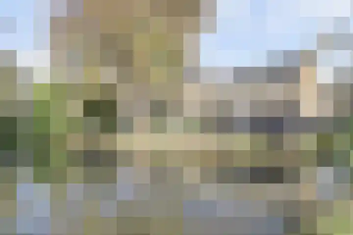 Meidoornlaan 71 Vianen thumbnail 52