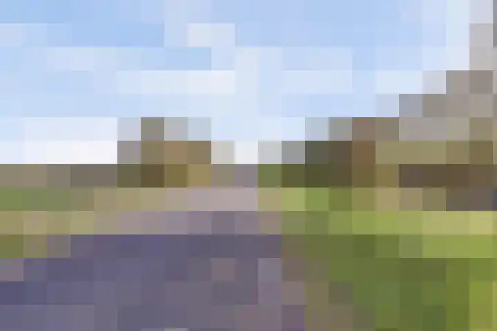 Meidoornlaan 71 Vianen thumbnail 53