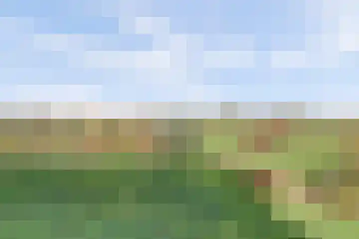 Meidoornlaan 71 Vianen thumbnail 54