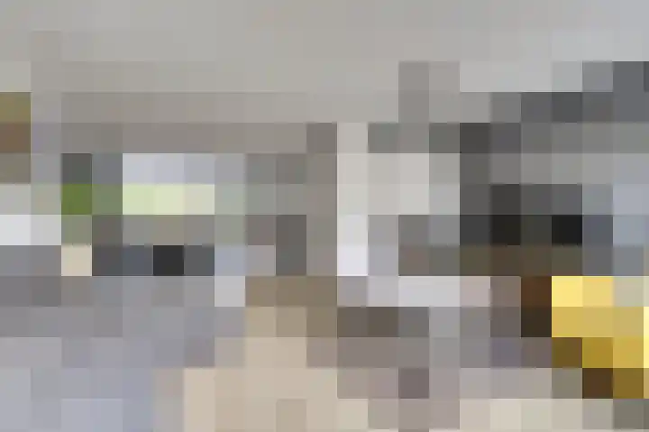 Meidoornlaan 71 Vianen thumbnail 8